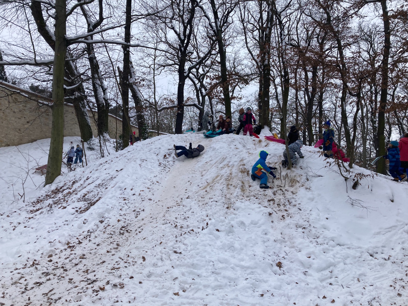 Letošní zima v Malejově