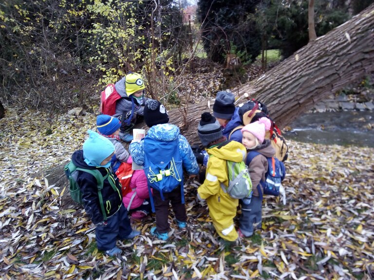 Zastávka u stromu